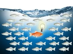 Nicht alle Immobilienmakler